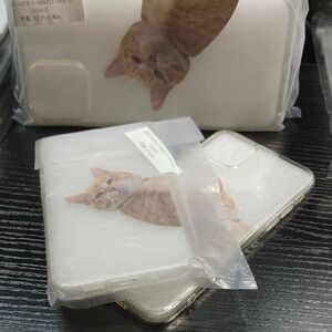 iPhone 12 Mini Clear Phone Case with Orange Cat Print